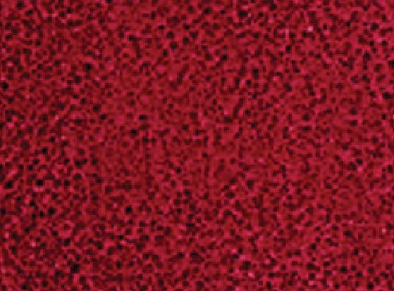 almost blended™ blush